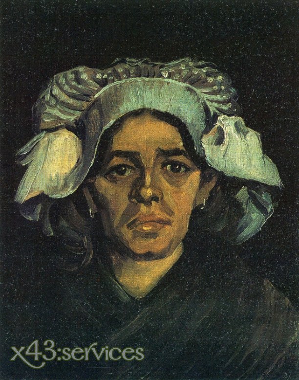Vincent van Gogh - Baeuerin Portrait Gordina de Groot - zum Schließen ins Bild klicken